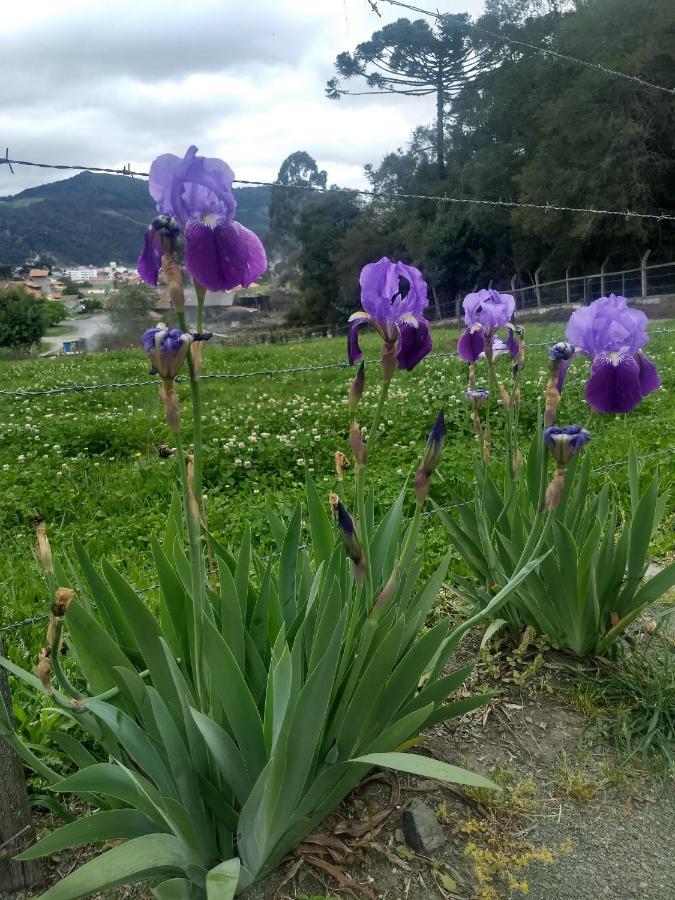 Chalés Manacá da Serra Urubici Exterior foto